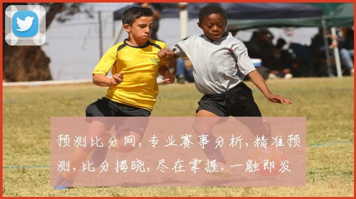 预测比分网,专业赛事分析,精准预测,比分揭晓,尽在掌握,一触即发
