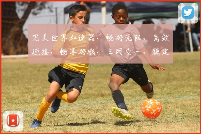 完美世界加速器，畅游无阻，高效连接，畅享游戏，三网合一，稳定加速