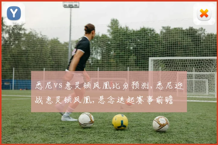 悉尼vs惠灵顿凤凰比分预测,悉尼迎战惠灵顿凤凰,悬念迭起赛事前瞻