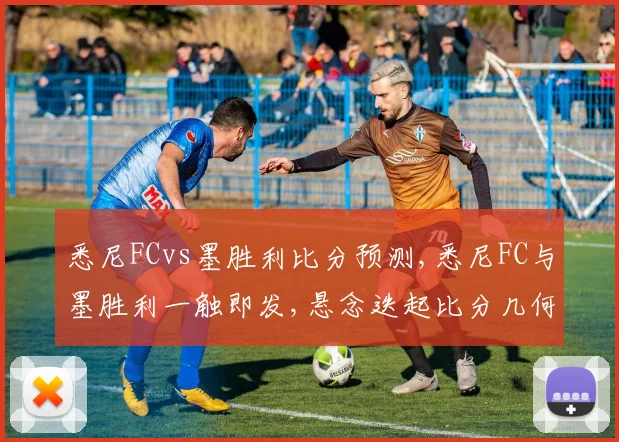 悉尼FCvs墨胜利比分预测,悉尼FC与墨胜利一触即发,悬念迭起比分几何