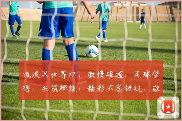 流浪汉世界杯，激情碰撞，足球梦想，共筑辉煌，精彩不容错过，敬请期待