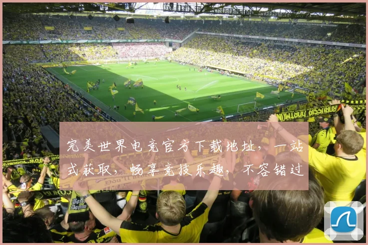 完美世界电竞官方下载地址，一站式获取，畅享竞技乐趣，不容错过，快来体验
